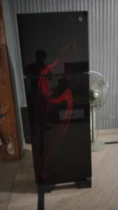 PEL Glass Door  Refrigerator for Sale