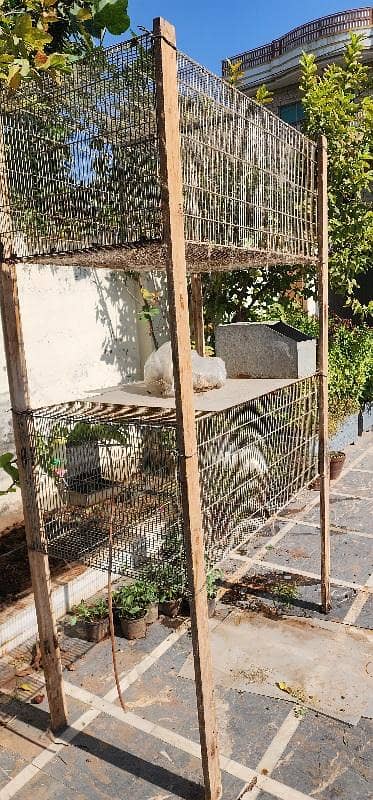 cages 2ft by 4 ft