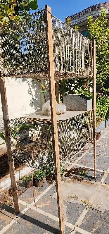 cages 2ft by 4 ft