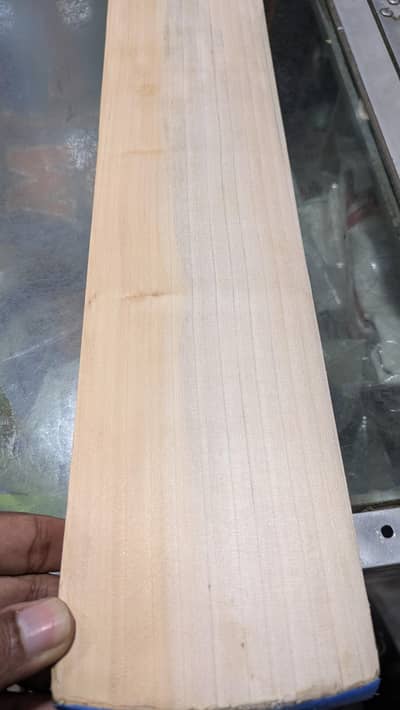 English Willow Cricket Bat