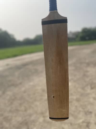 Cricket bat tap ball