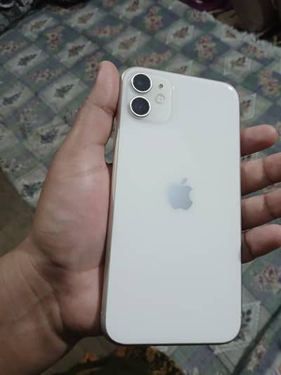 iPhone 11 Dual physical