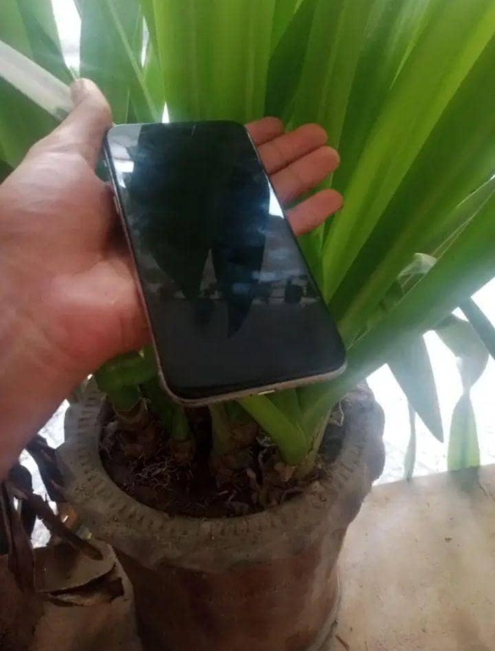 Apple iPhone X 4