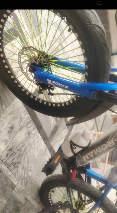 Roman cycle
