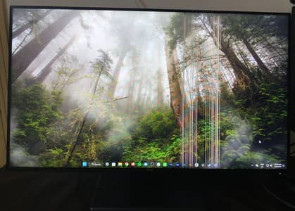 Dell Full HD Monitor 24'