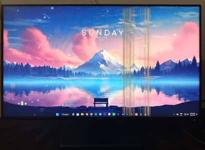Dell Full HD Monitor 24'