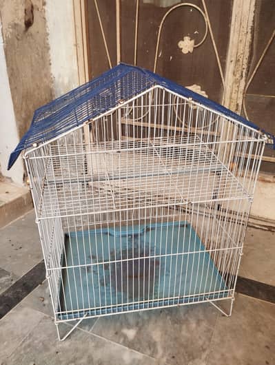 birds pinjra