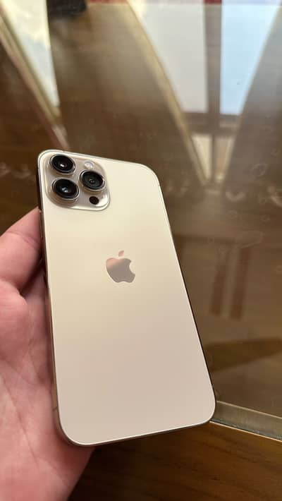 iPhone 13 Pro Max 256gb