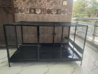 hens cage