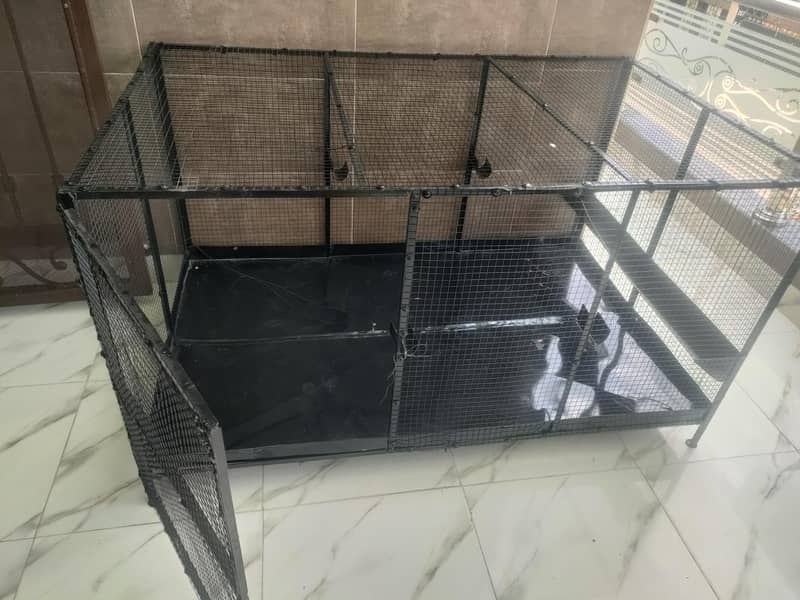 hens cage 1