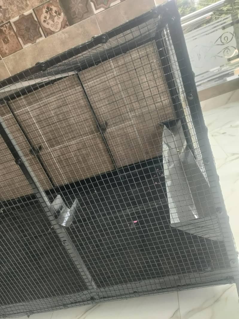 hens cage 3