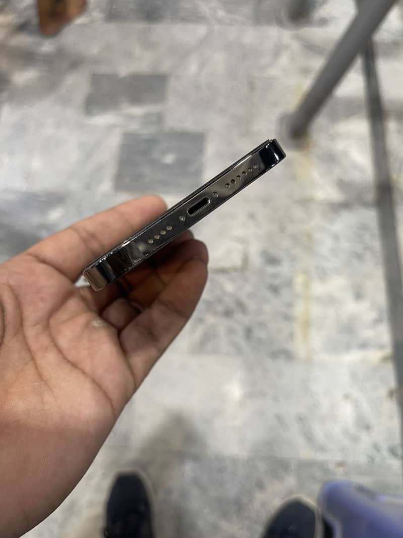 12 pro max 4