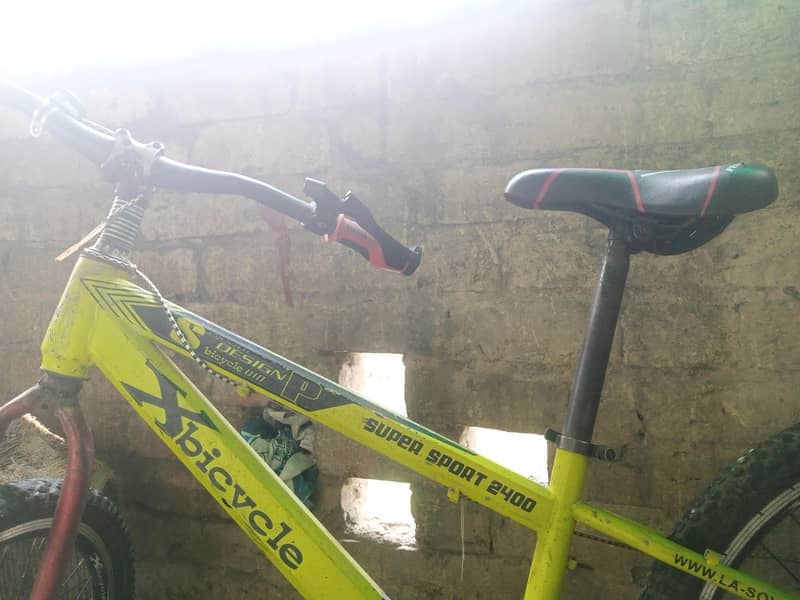 imported bicycle 2