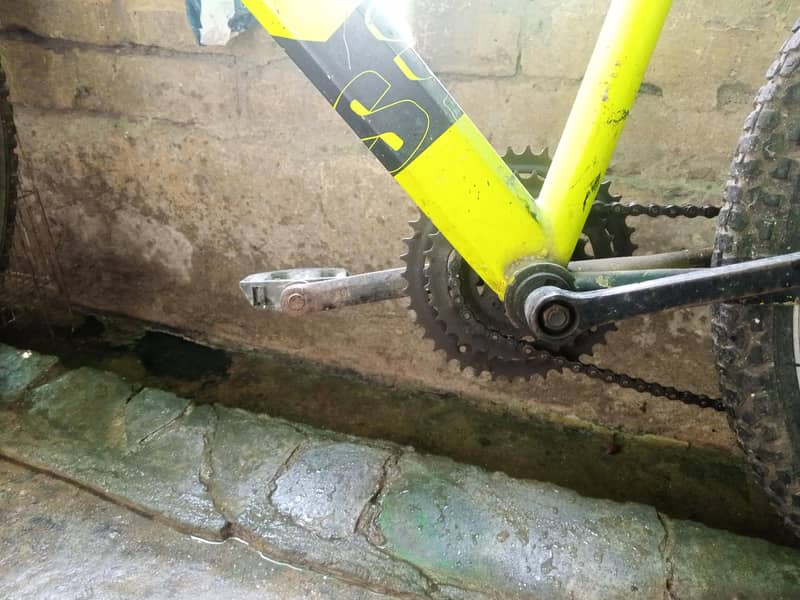 imported bicycle 3
