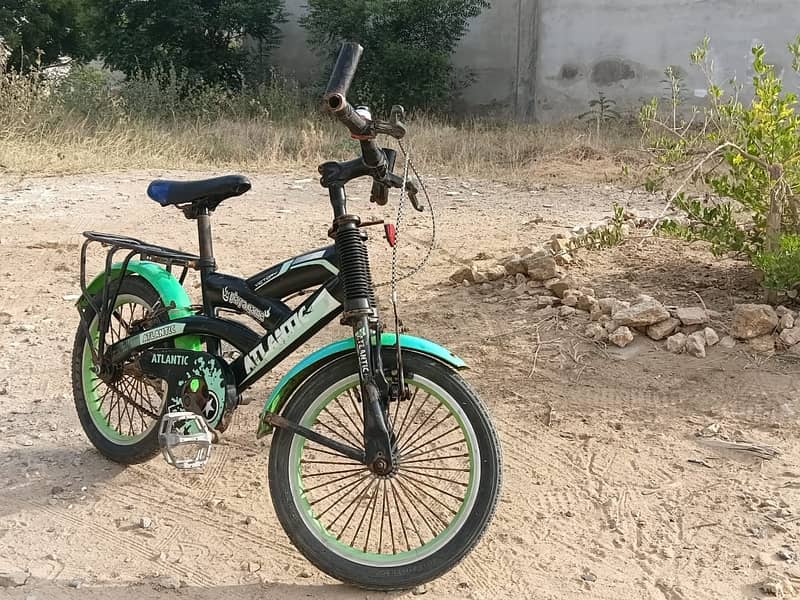 Bicycle 1