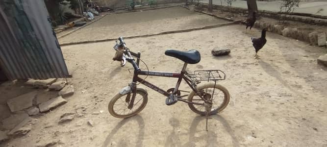 Children's Bicycle – Ready to Ride
