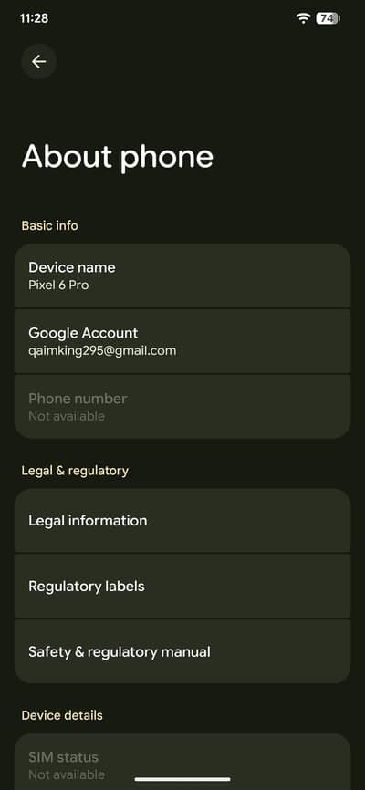 Google pixel 6 pro