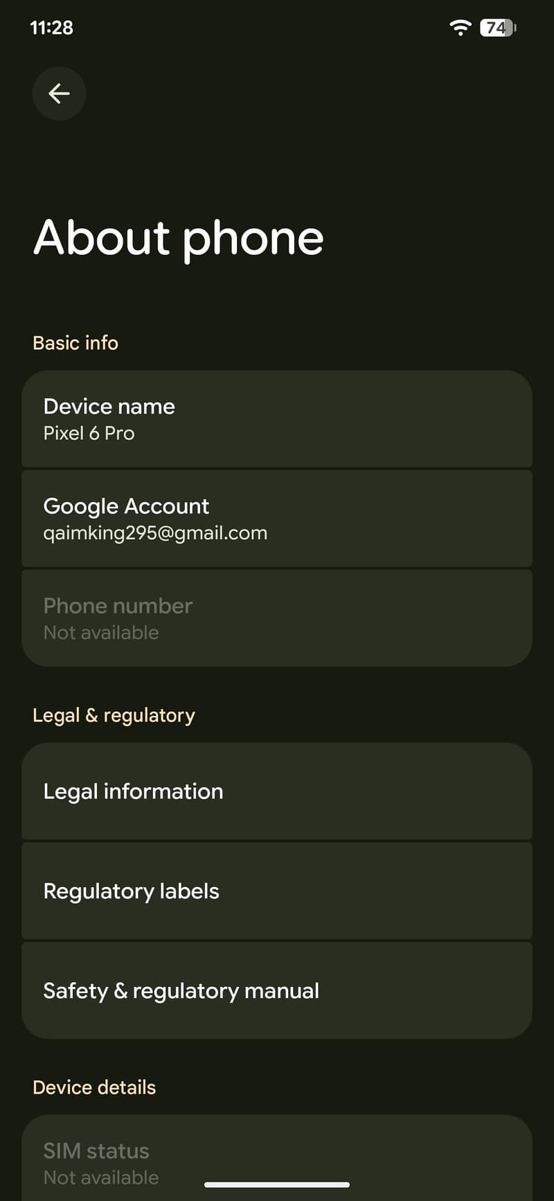 Google pixel 6 pro 0