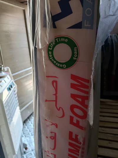 molti foam