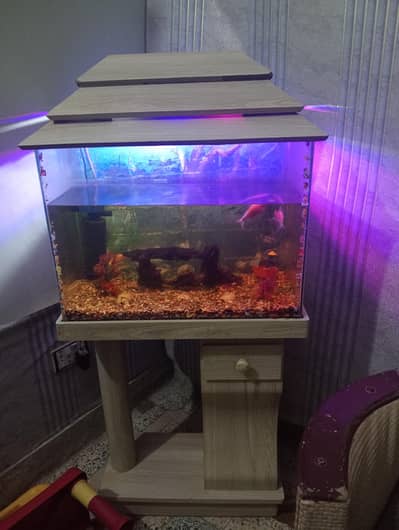 Fish Aquarium