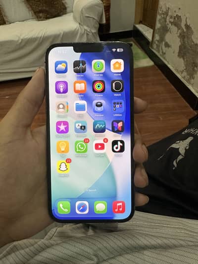 Apple iPhone 13 Pro Max