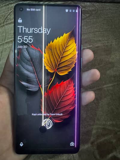 One Plus 8 Pro 12 /256