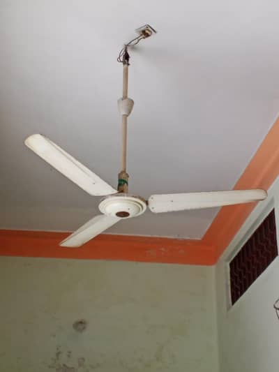 milta fan