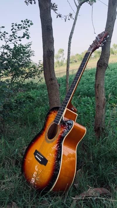 singer acoustic guitar