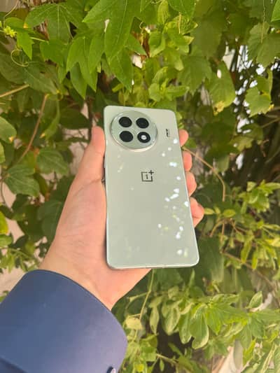 One Plus 13R