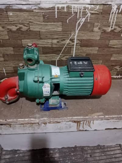 Asli Punjab API pump for sale