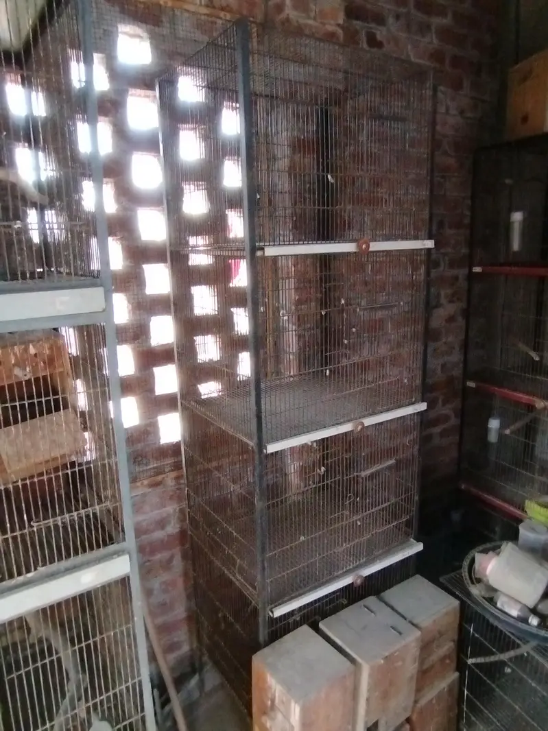 birds cages for sale — photo 2