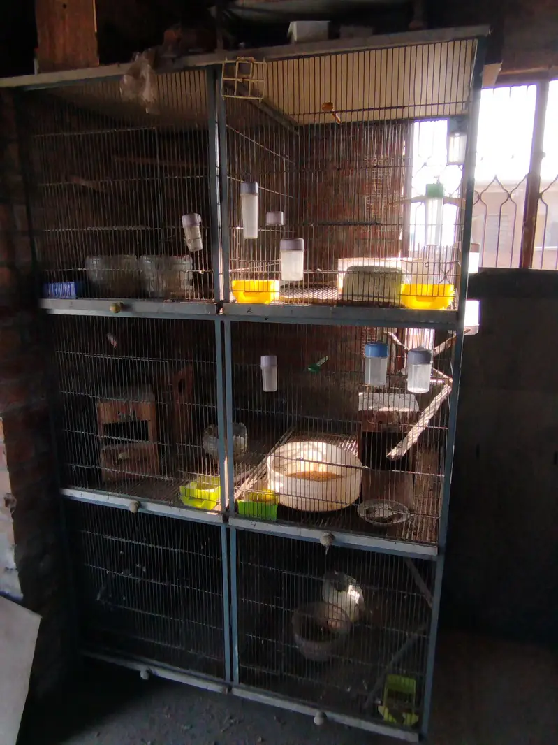 birds cages for sale — photo 5