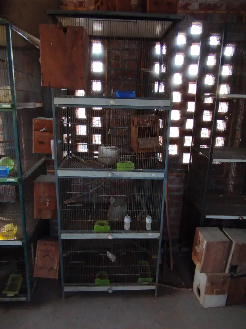 birds cages for sale — photo 7