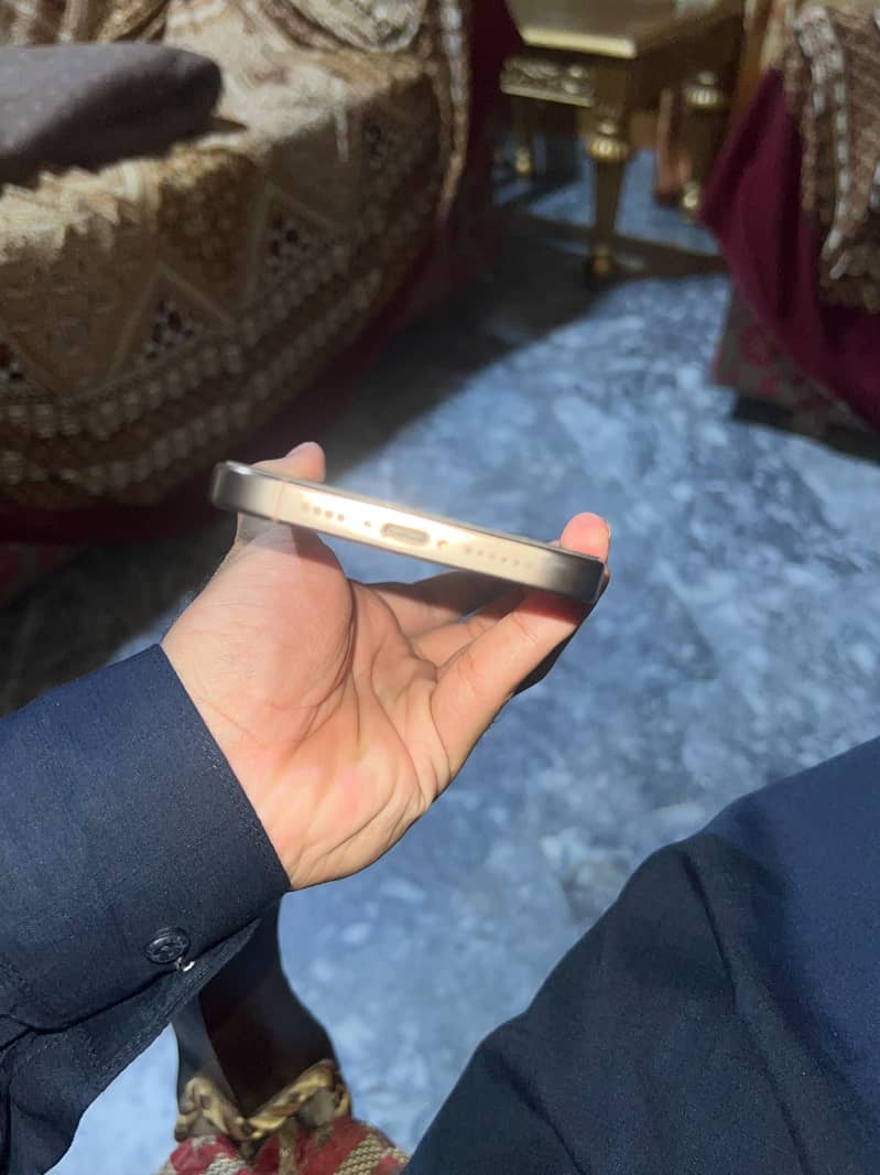 Apple iPhone 16 Pro Max 1