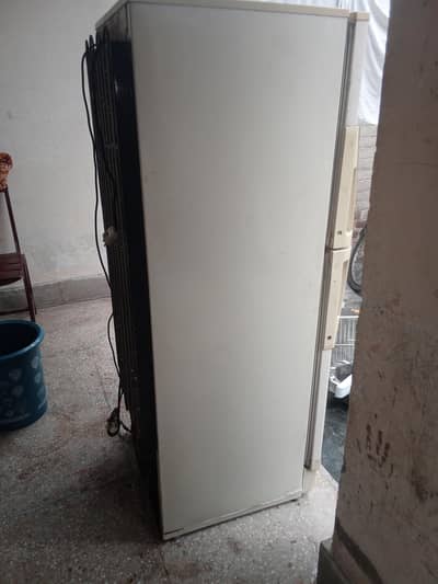 fridge
