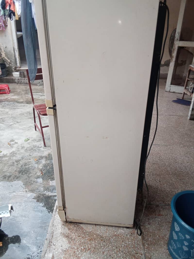 fridge 2
