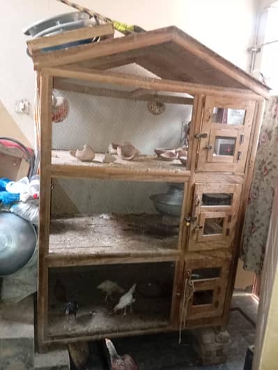 bird wooden cage