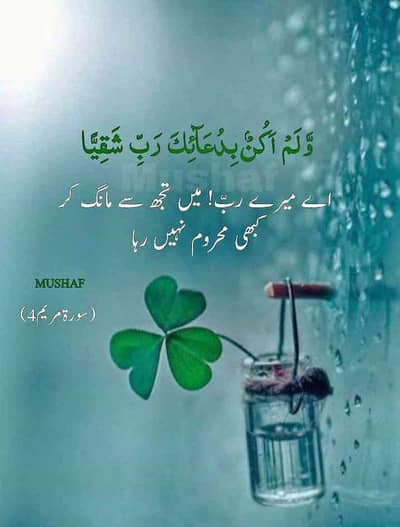 Hashmi