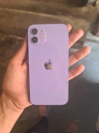 Apple iPhone 12