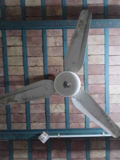 starco celling fan