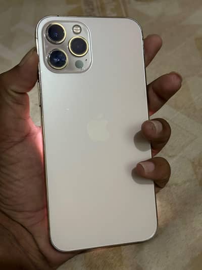 Apple iPhone 12 Pro Max