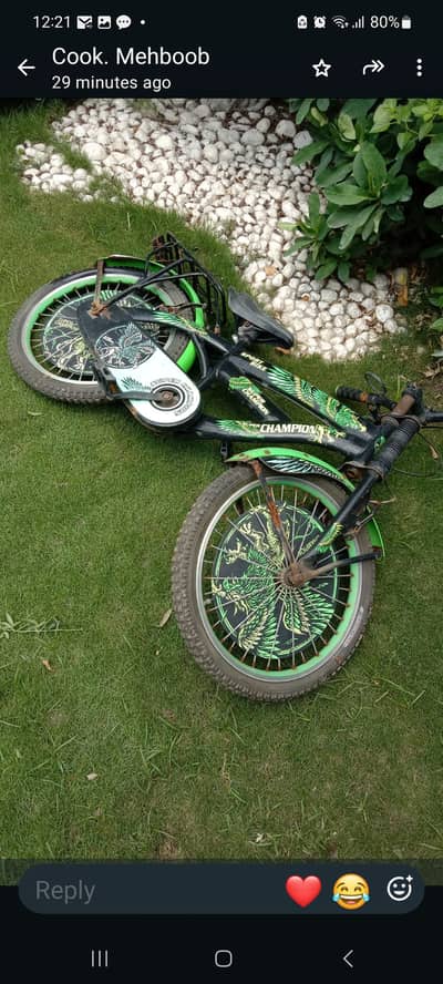 Bicycles for under 12