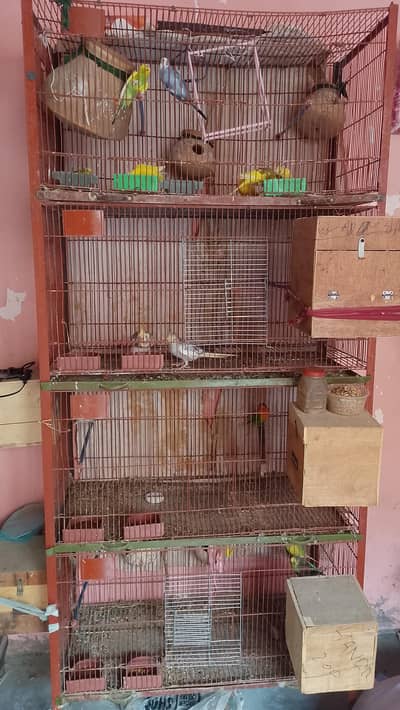 for sell arget pinjere k saat