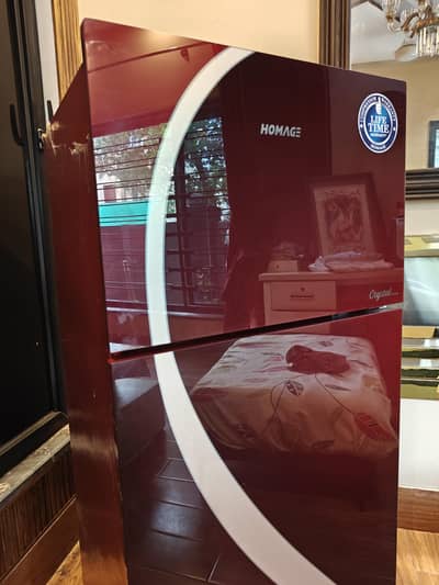 Homage fridge used for 2 months