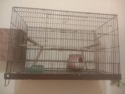 parrot cage reasonable price me