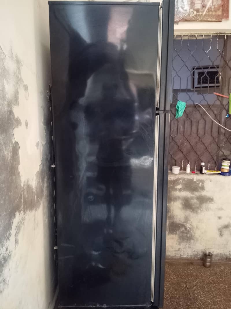Freezer 1
