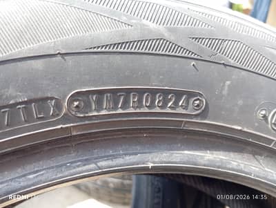 dunlop