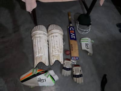 Hard Ball Cricket kit