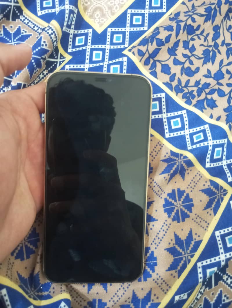 Apple iPhone 12 Pro Max 3