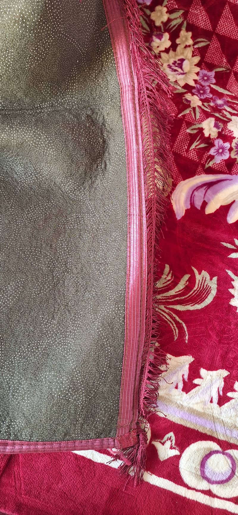 Carpet 2